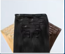 Clip in